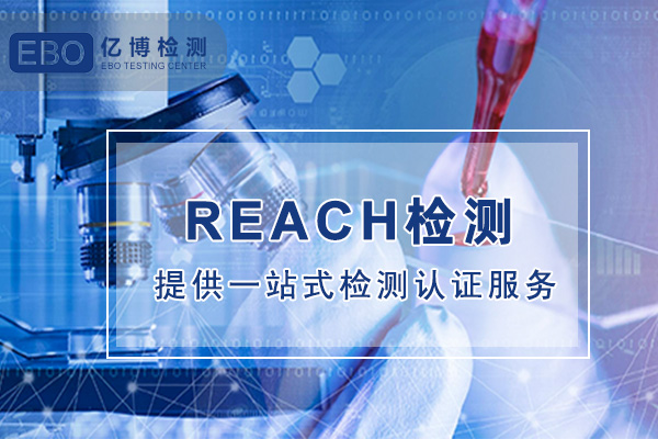 REACH报告